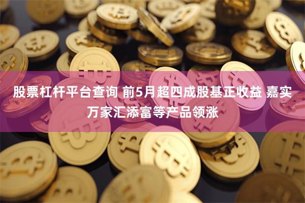 股票杠杆平台查询 前5月超四成股基正收益 嘉实万家汇添富等产品领涨