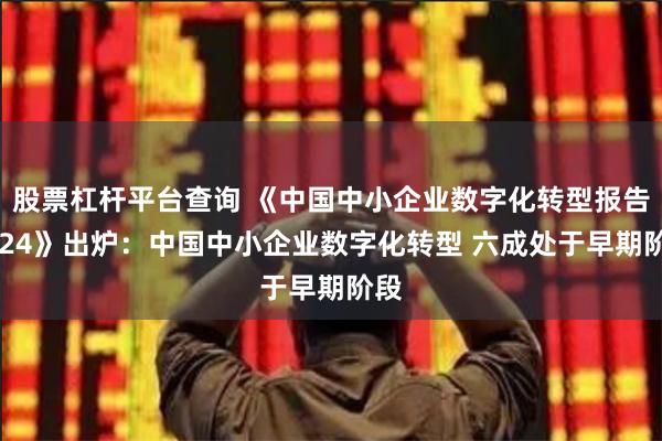 股票杠杆平台查询 《中国中小企业数字化转型报告2024》出炉：中国中小企业数字化转型 六成处于早期阶段