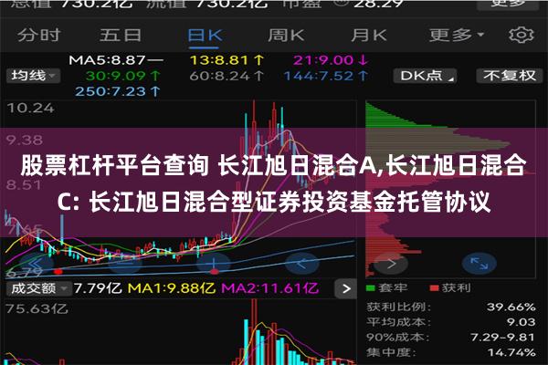 股票杠杆平台查询 长江旭日混合A,长江旭日混合C: 长江旭日混合型证券投资基金托管协议