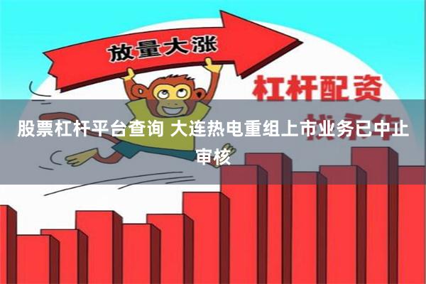 股票杠杆平台查询 大连热电重组上市业务已中止审核