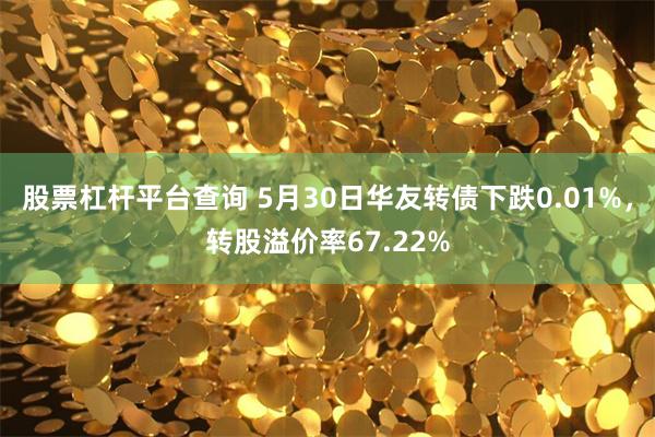 股票杠杆平台查询 5月30日华友转债下跌0.01%，转股溢价率67.22%