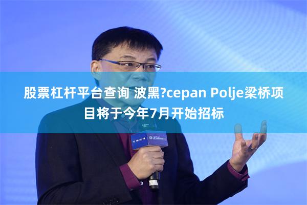 股票杠杆平台查询 波黑?cepan Polje梁桥项目将于今年7月开始招标