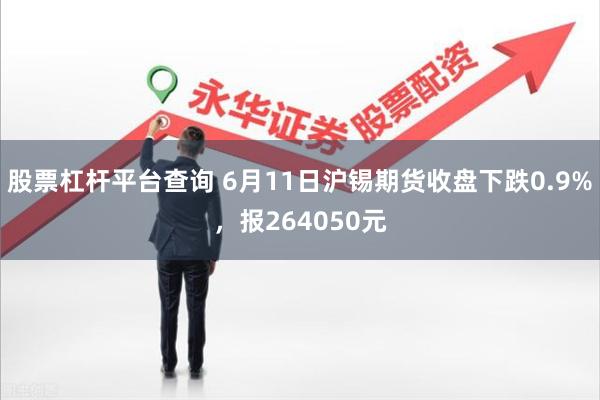 股票杠杆平台查询 6月11日沪锡期货收盘下跌0.9%，报264050元