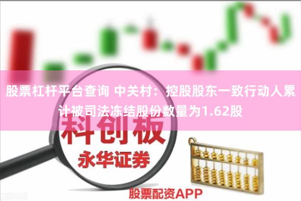股票杠杆平台查询 中关村：控股股东一致行动人累计被司法冻结股份数量为1.62股