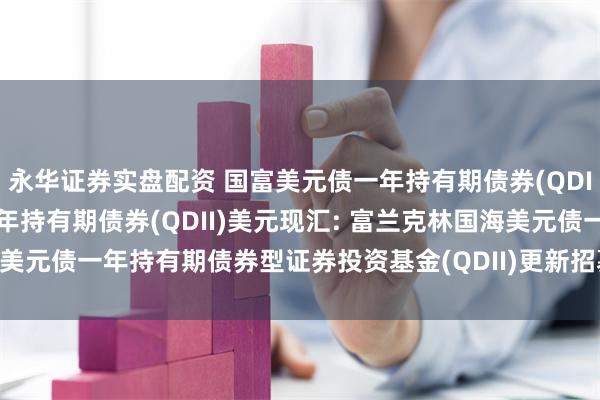 永华证券实盘配资 国富美元债一年持有期债券(QDII)人民币,国富美元债一年持有期债券(QDII)美元现汇: 富兰克林国海美元债一年持有期债券型证券投资基金(QDII)更新招募说明书(2024年1号)