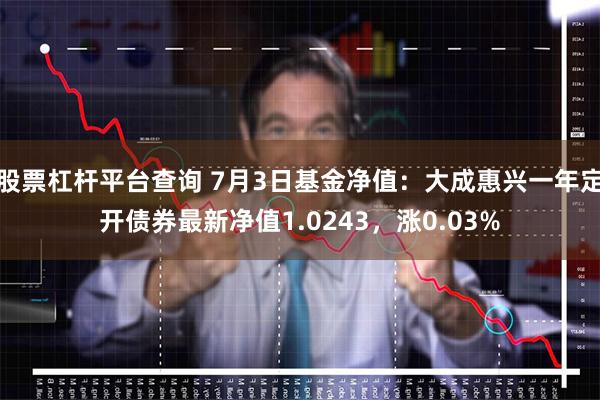 股票杠杆平台查询 7月3日基金净值：大成惠兴一年定开债券最新净值1.0243，涨0.03%