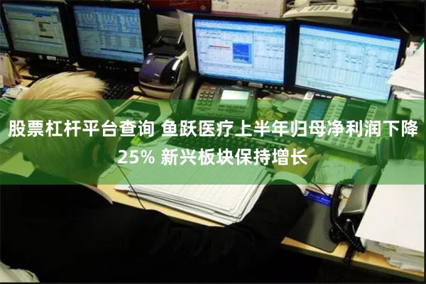 股票杠杆平台查询 鱼跃医疗上半年归母净利润下降25% 新兴板块保持增长