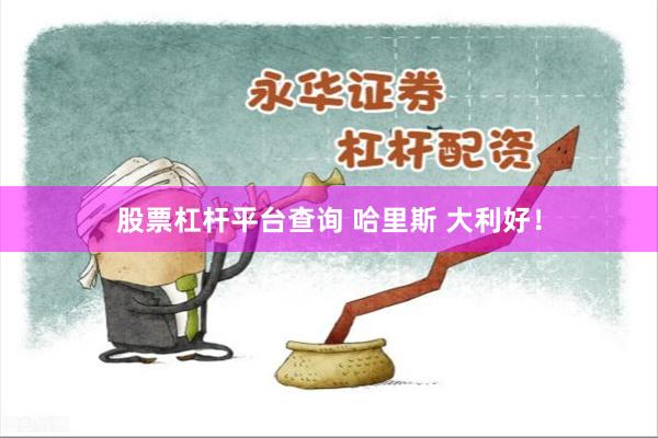 股票杠杆平台查询 哈里斯 大利好！