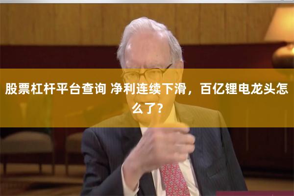 股票杠杆平台查询 净利连续下滑，百亿锂电龙头怎么了？