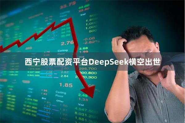 西宁股票配资平台DeepSeek横空出世