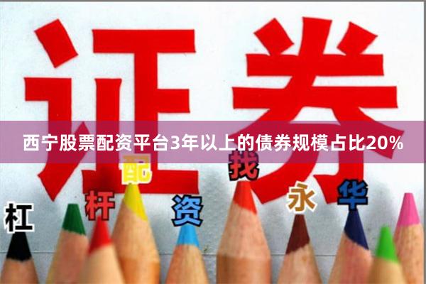 西宁股票配资平台3年以上的债券规模占比20%